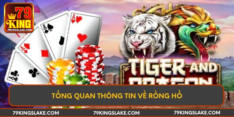 Tổng quan thông tin về Rồng Hổ